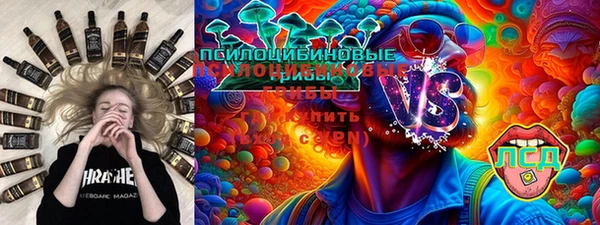 соль ск Алексеевка