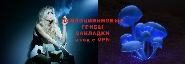соль ск Алексеевка