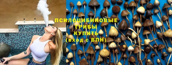 ECSTASY Алексин